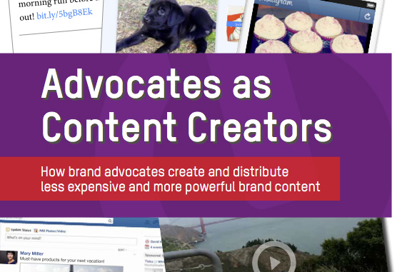 Advocates as Content Creators Ebook
